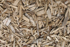 biomass boilers Ardo